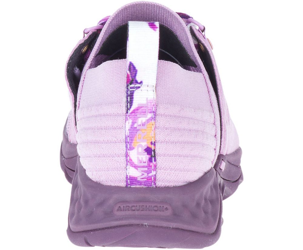 Merrell Sneakers Purple - Range AC+ - Womens 96SCWIGFL